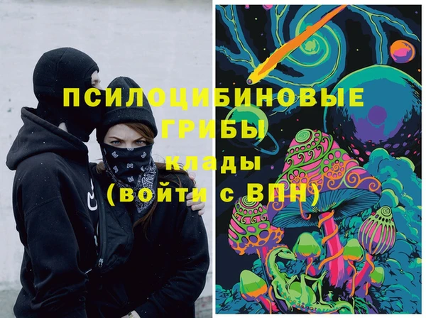 PSILOCYBIN Балабаново