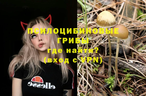 PSILOCYBIN Балабаново