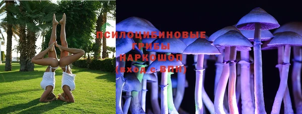 тгк Балахна