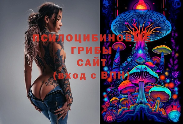 тгк Балахна